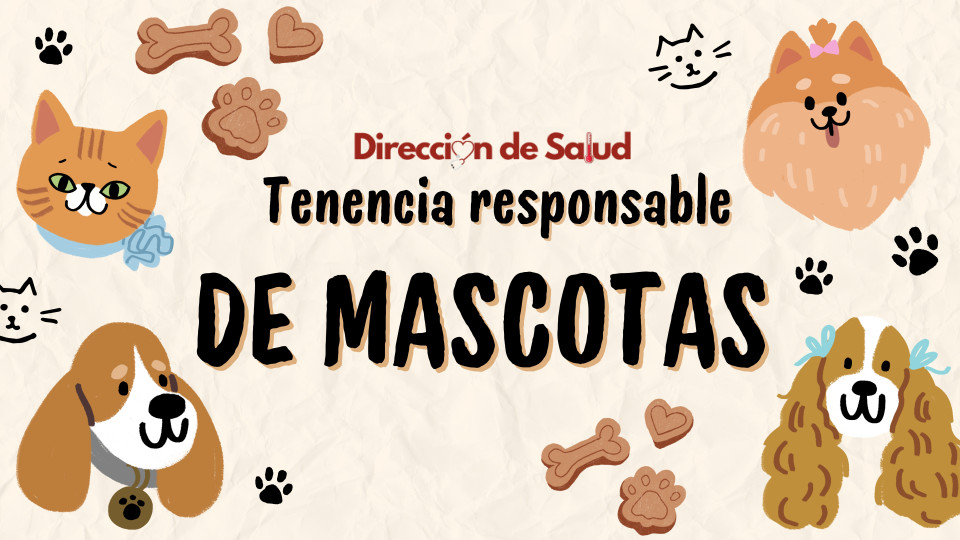 Taller de tenencia responsable de mascotas